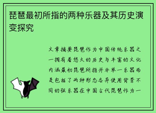 琵琶最初所指的两种乐器及其历史演变探究